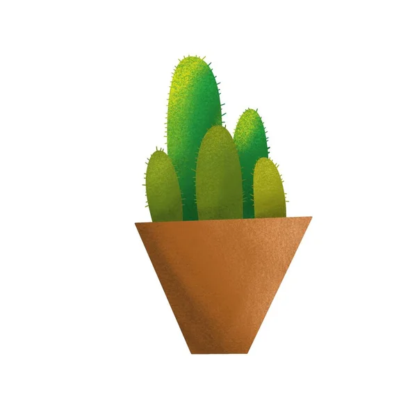 cactus illustration with pot for indoor plant