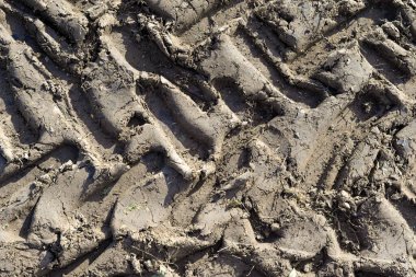 Çamurda traktör lastik izleri 