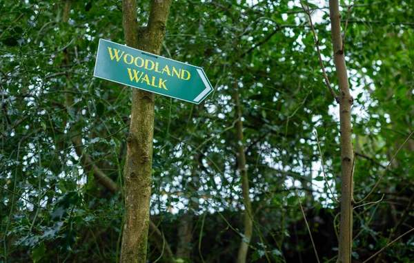 Woodland Walk Wegweiser an Baumstamm im Wald befestigt. — Stockfoto