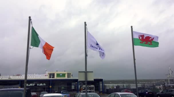 Pembroke Ferry Port Wales Feb 2022 Irish Irish Ferries Welch — Stockvideo