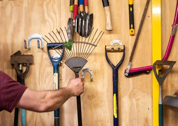 Mans Arm Takes Lawn Leaf Rake Wooden Wall Various Hanging — Stock Photo, Image