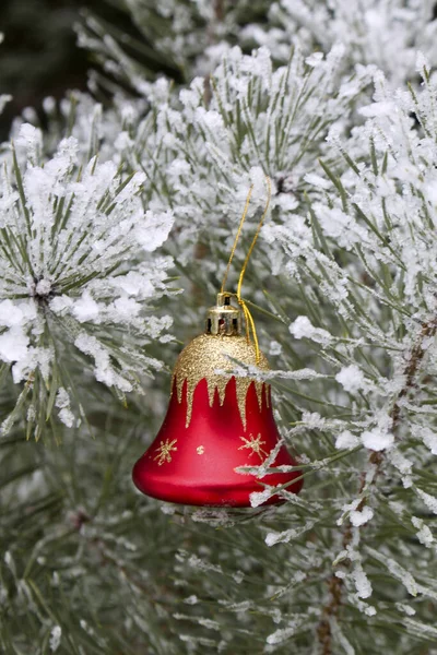 Karla kaplı çam dalları arasında kırmızı cam çan. Şenlik dekorasyonu. Yeni Yıl. 