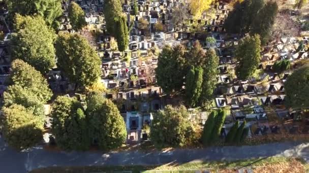 Vue sur drone arial vol au-dessus du vieux cimetière avec pierres tombales, pierres tombales, flèches — Video