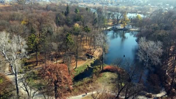 Arial drone view πτήση πάνω από τη λίμνη στο πάρκο την ηλιόλουστη ημέρα του φθινοπώρου — Αρχείο Βίντεο