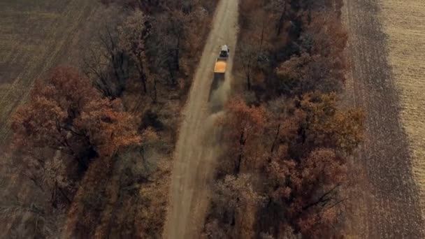 Volo aereo di vista del drone sopra il trattore blu con il grano giallo riempito rimorchio del mais — Video Stock