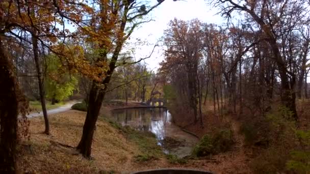 Повітряний вигляд літака політ через гілки дерева в парку з озерами, архітектура — стокове відео