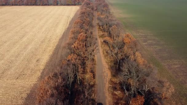 Drohnenflug über LKW mit leerer Leiche auf Feldweg — Stockvideo