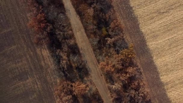 Пейзаж сельской дороги между деревьями среди полей в солнечный осенний день — стоковое видео