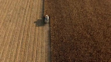 Tarladaki Kuru Mısırı Toplayan Hava Aracı Görünümü Uçuşu