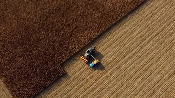 Colheitadeira derrama o milho após a colheita em campo para trás do veículo de carga — Vídeo de Stock