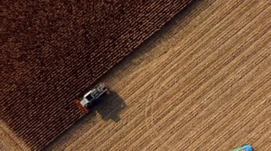 Tarladaki Kuru Mısırı Toplayan Hava Aracı Görünümü Uçuşu