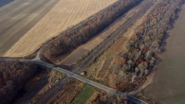 Vista panorâmica da travessia ferroviária entre os campos de árvores Autumn Day Drone aéreo — Vídeo de Stock