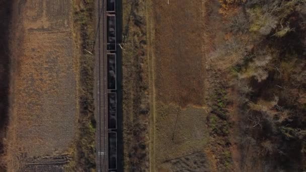 Vue aérienne du drone survol du train en mouvement avec chariots remplis de charbon automne — Video