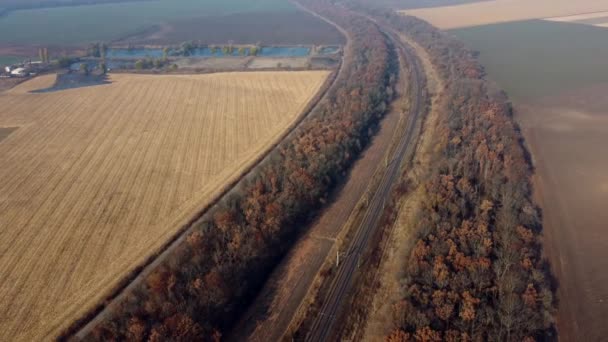 Vista panorámica del paisaje del ferrocarril, árboles, campos agrícolas, lagos soleados — Vídeos de Stock