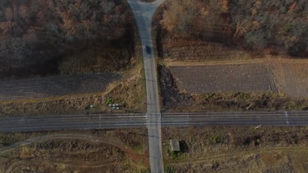 Панорамный вид на железнодорожный переход между деревьями в полях — стоковое видео