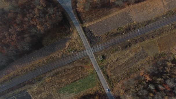 Vista panorâmica da travessia ferroviária entre árvores nos campos Vista aérea do drone — Vídeo de Stock