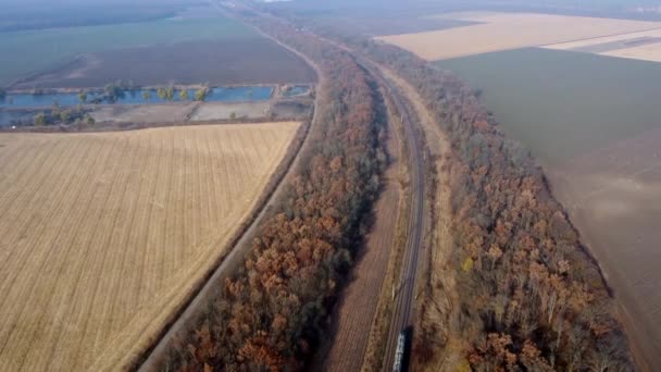 全景运货列车沿着铁路轨道行驶，树木覆盖农田 — 图库视频影像