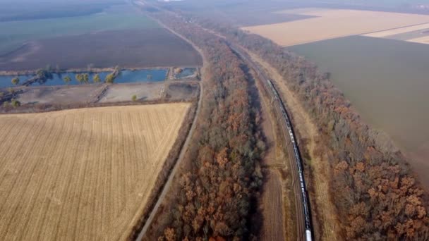 Treno merci in movimento panoramico lungo i binari ferroviari, alberi campi agricoli — Video Stock