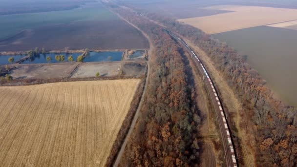 Comboio de carga móvel panorâmico ao longo de trilhas ferroviárias, Árvores Campos agrícolas — Vídeo de Stock