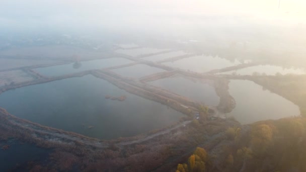 Aerial Drone View Flight Over artificially dug ponds for fish farming autumn — Stock Video