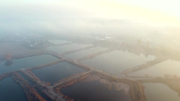 Aerial Drone View Flight Over sztucznie wykopanych stawów do hodowli ryb jesienią — Wideo stockowe