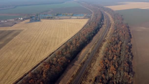 Panoramablick auf Bahn, Bäume, landwirtschaftliche Felder, sonnige Seen — Stockvideo