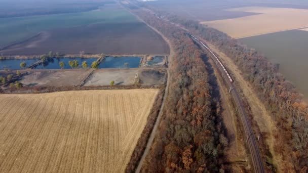 Panoramatické pohybující se nákladní vlak podél železničních kolejí, Stromy Zemědělská pole — Stock video