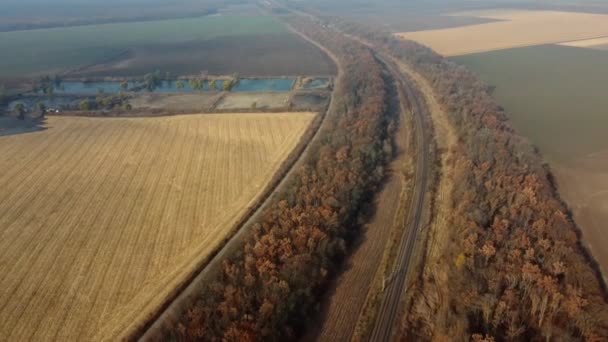 Vista panorámica del paisaje del ferrocarril, árboles, campos agrícolas, lagos soleados — Vídeos de Stock