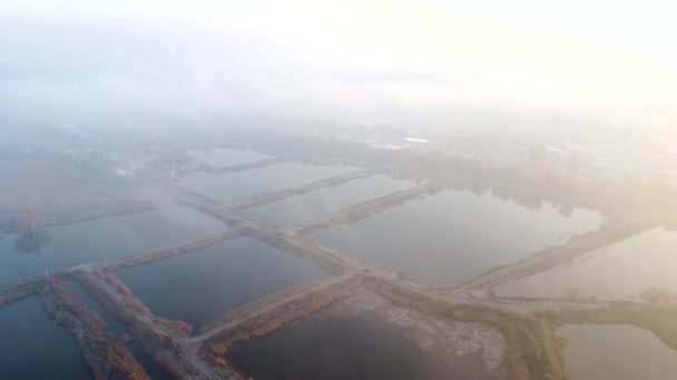 Vuelo de vista aérea de drones sobre estanques excavados artificialmente para la piscicultura otoño — Vídeo de stock