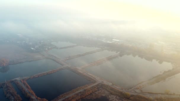 Hava Aracı Görünüm Uçuşu Sonbaharda balık çiftliği için yapay olarak kazılmış göletler — Stok video
