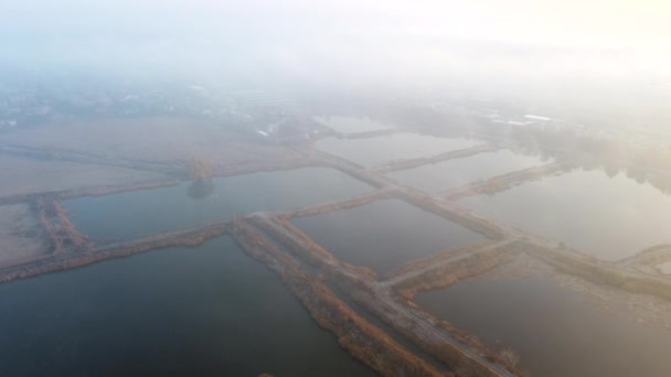 Εναέρια Drone View Πτήση Πάνω από τεχνητά σκαμμένες λίμνες για ιχθυοκαλλιέργεια φθινόπωρο — Αρχείο Βίντεο