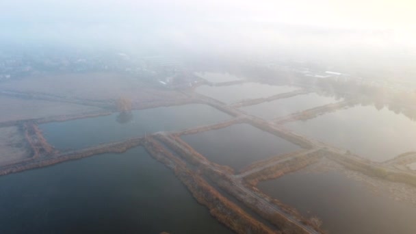 Vue Aérienne Par Drone Vol Au-dessus Des étangs artificiellement creusés Pour L'élevage De Poissons Automne — Video