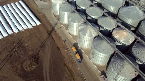 Truck filled with yellow grain drives near new metal modern elevator sunny day — Stock Video