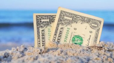 İki tane bir dolarlık banknot, kumlu deniz kıyısında yarı gömülü..