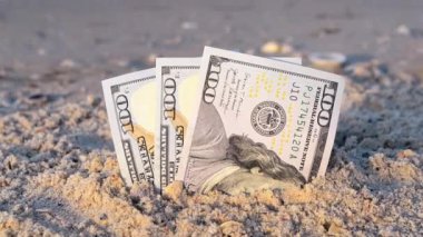 Üç yüz dolarlık banknotların yarısı kumlu deniz kıyısında gömülü..