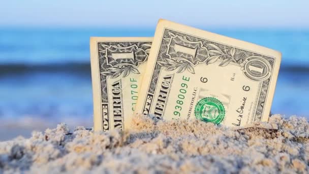 Två en dollar sedlar halv begravd i sand på sandstrand närbild. — Stockvideo