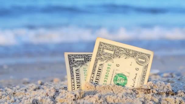 Two one dollar bills half buried in sand on sandy seashore close-up. — Stockvideo