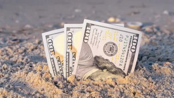 Tre hundra dollarsedlar halvt begravda i sand på sandstranden närbild. — Stockvideo