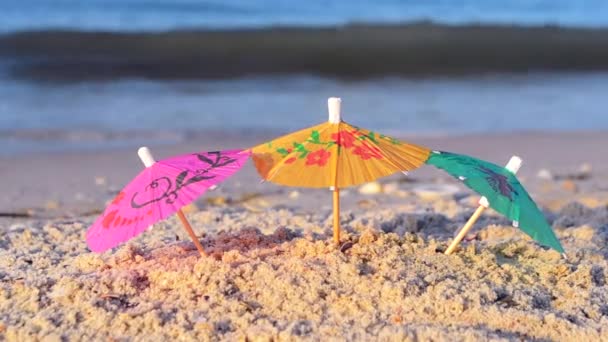 Три маленьких бумажных коктейльных зонтика стоят в песке на песчаном пляже крупным планом. — стоковое видео