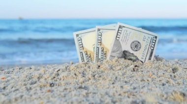 Üç yüz dolarlık banknotların yarısı kumlu deniz kıyısında gömülü..