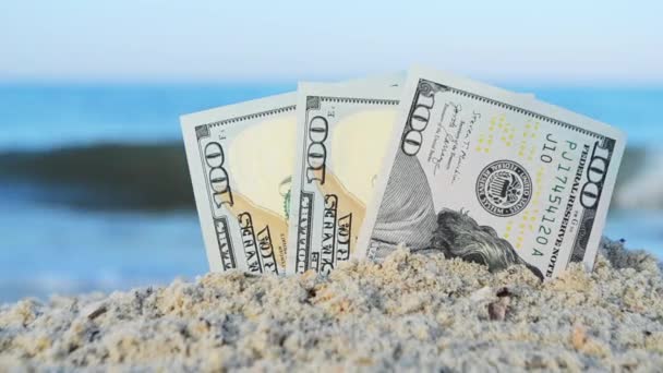 Dwa dolary w połowie zakopane w piasku na piaszczystym brzegu morza zbliżenie. — Wideo stockowe