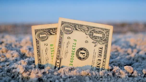 Two dollar banknotes in sand on beach on background of blurred sea sunset dawn — Vídeo de Stock