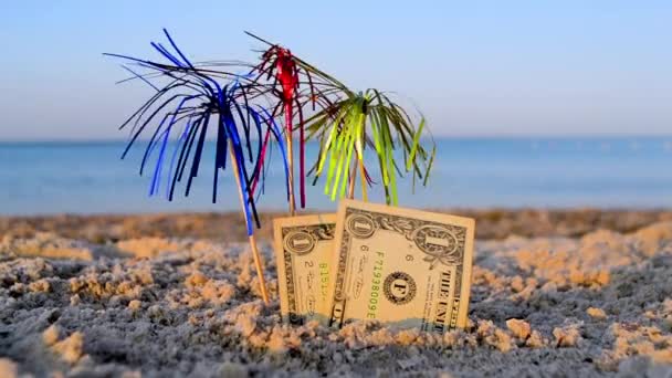 Billetes de dos dólares en arena en la playa en el fondo de la borrosa puesta del sol del mar amanecer — Vídeos de Stock
