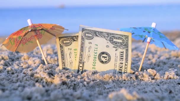 Два долари наполовину поховані і дві маленькі паперові коктейльні парасольки в піску — стокове відео