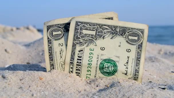 Two old dollar bills in sand on background of sea blue sky on sunny summer day. — 图库视频影像
