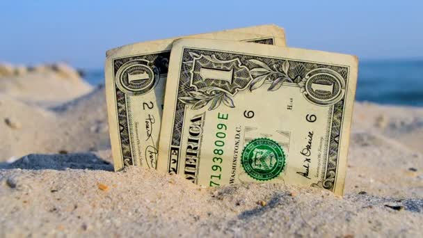 Two old dollar bills in sand on background of sea blue sky on sunny summer day. — Video Stock