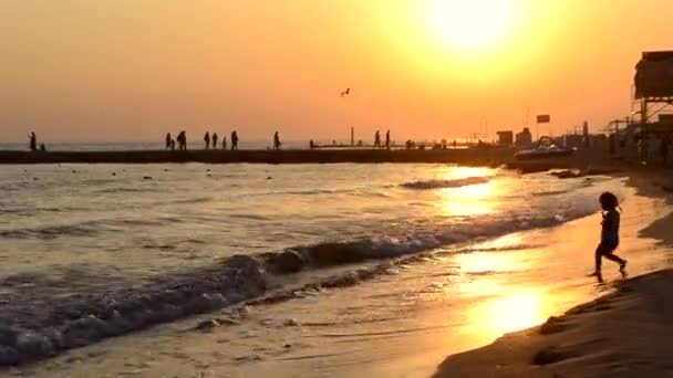 Black silhouette of small child who plays with sea waves, pier where people walk — стоковое видео