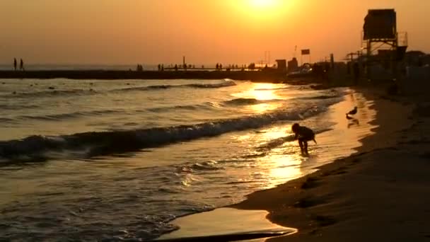 Black silhouette of small child who plays with sea waves, pier where people walk — Video Stock