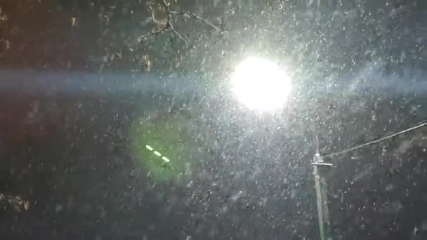 Άποψη του χιονιού που πέφτει με φόντο το φως του λαμπερού φαναριού τη νύχτα. — Αρχείο Βίντεο