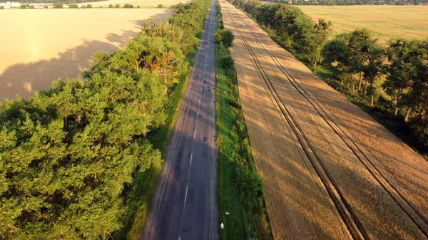 Воздушный беспилотник видит полет над дорожным пшеничным полем и зеленые деревья на рассвете заката — стоковое фото